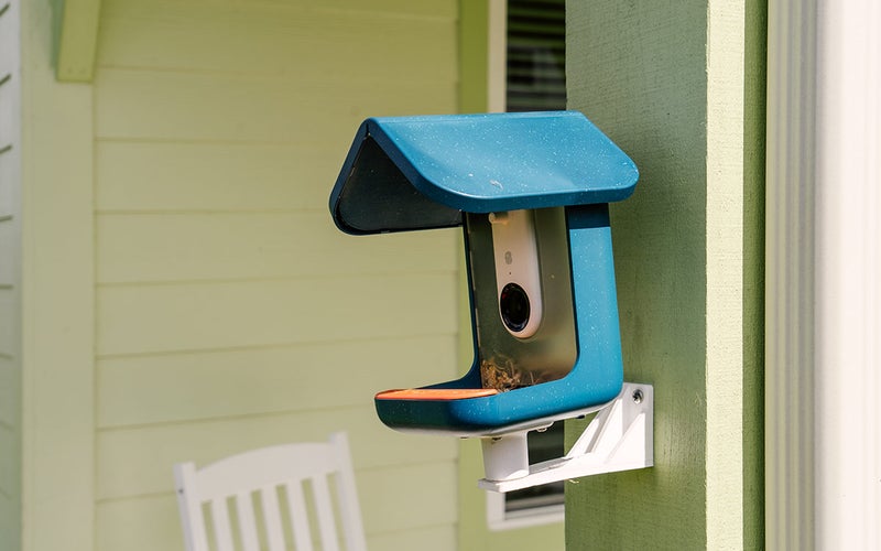 A blue Bird Buddy bird feeder mounted to a post on a front porch.