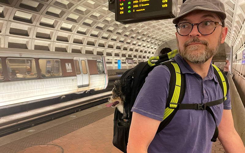 ROVERLUND pet backpack on my back holding a small dog watching trains in the DC metro