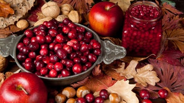 Cranberries can bounce, float, and pollinate themselves